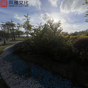 沟厕全景偷拍美女撒尿
